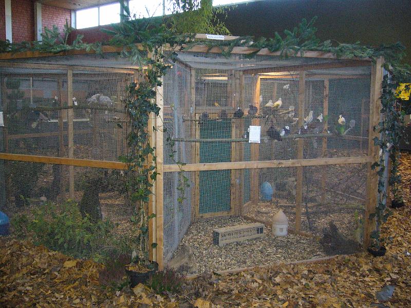 Ortsschau Langenberg 2008 241.jpg - Impressionen der Ortschau Langenberg 2008